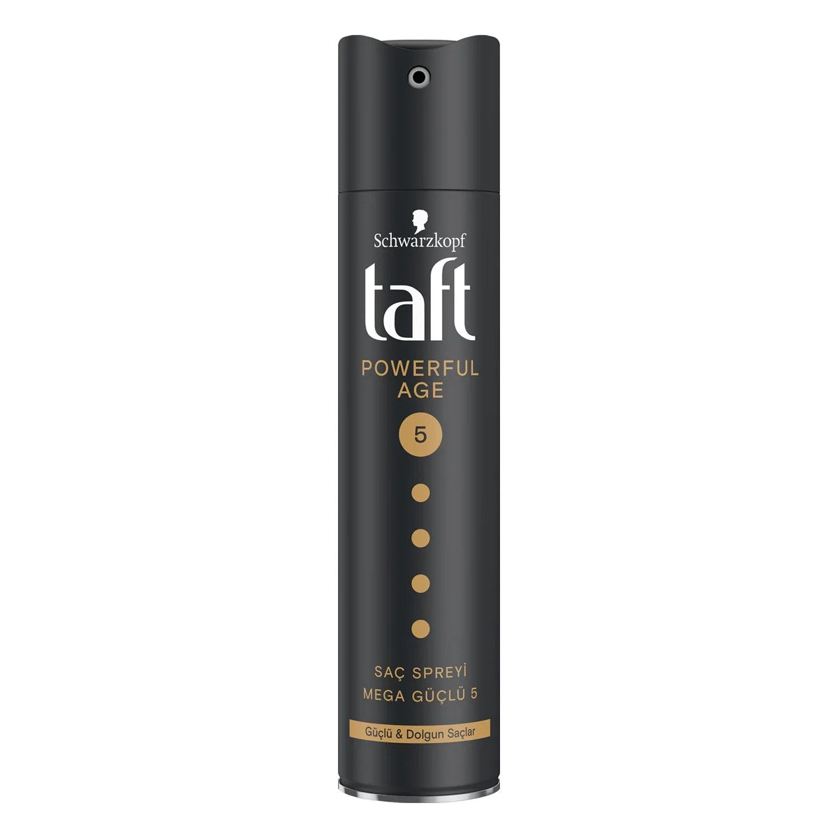 Taft Powerful Age Mega Güçlü Saç Spreyi No:5 250ml