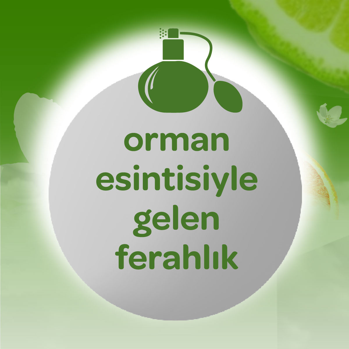 Dalin Orman Esintisi Bebek Kolonyası 150 Ml